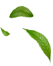 Abnehmen