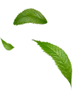 Abnehmen
